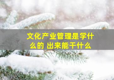 文化产业管理是学什么的 出来能干什么